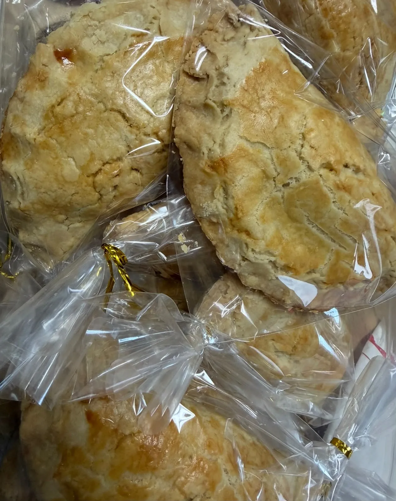 Flaky Meat Pies