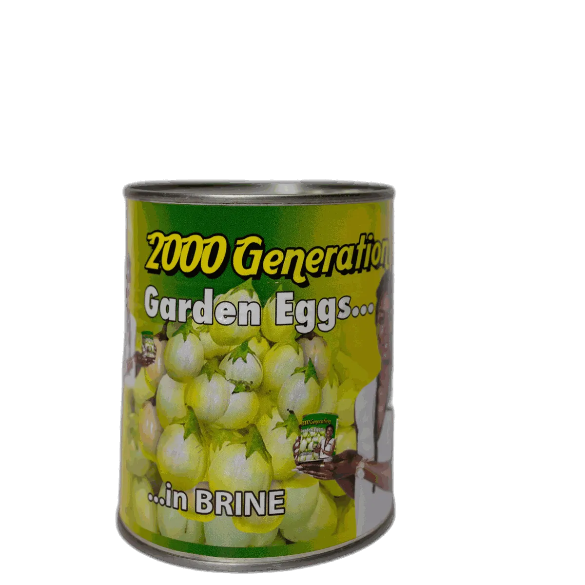 2000 Generation Garden Eggs (Wild Eggplant)